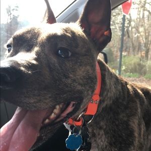 Meet your Posher, Colby